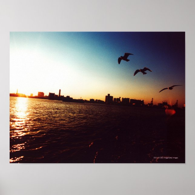 Silhouetted Tokyo Bay skyline vid solnedgång Poster (Framsidan)