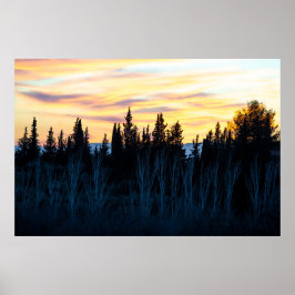 Silhouetted Träd i Dusk Poster