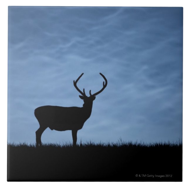 Silhouetterad Red Hjort Stag på natten Kakelplatta (Framsidan)