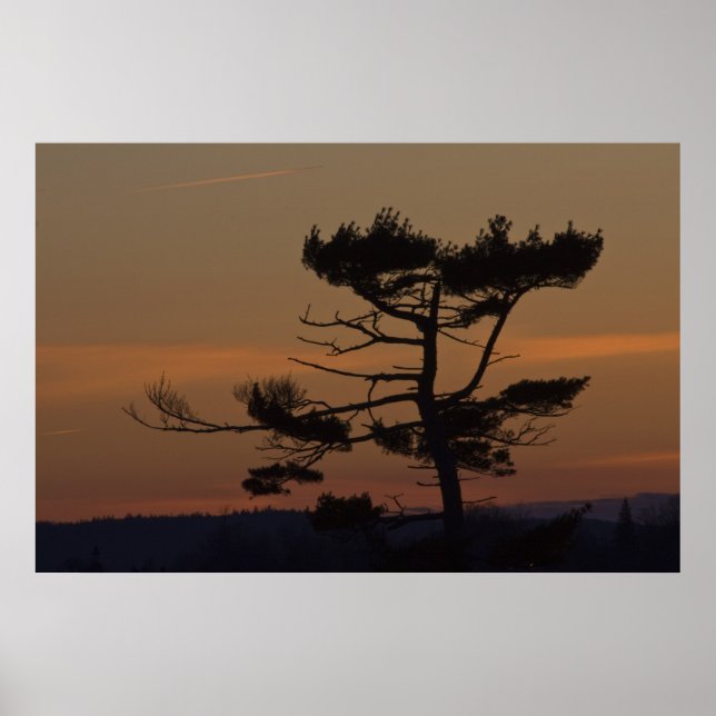 Silhouettes at Dusk bra art print Poster (Framsidan)