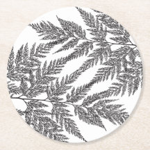 Silhouettes för skogsmarkFernormbunksblad