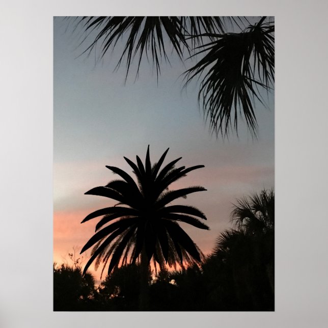 Silhouettes of handflatan fronts at sunset poster (Framsidan)