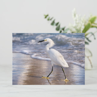 Silhuett av egret på strand notekort