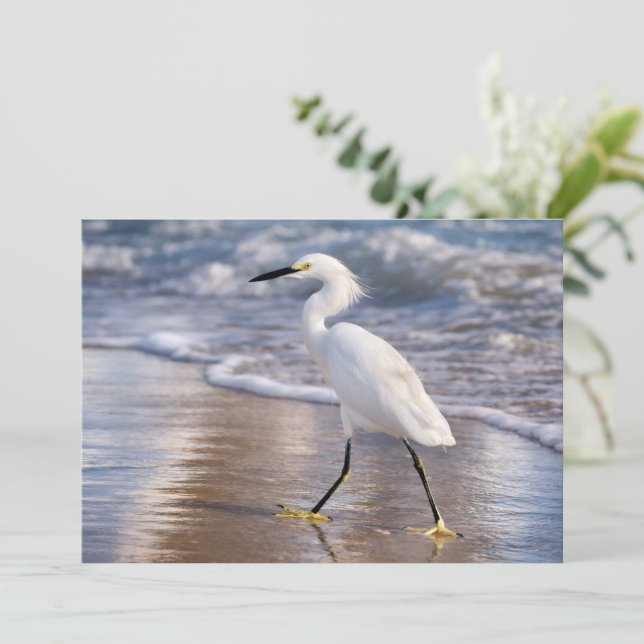 Silhuett av egret på strand notekort (Stående Fram)