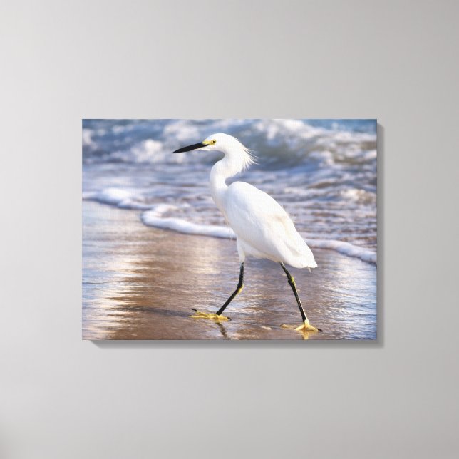 Silhuett av häger på strand Canvas (Framsida)