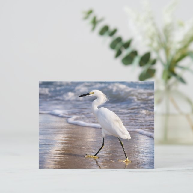 Silhuett av häger på strand Foto Print Vykort (Stående Fram)