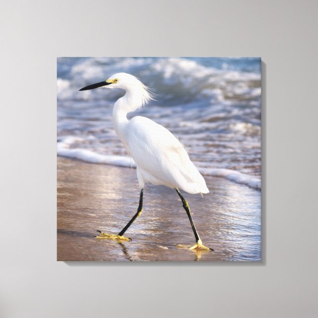 Silhuett häger på strand Canvas (Framsida)