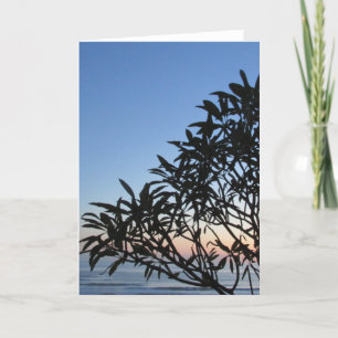 silhuette sunset kort