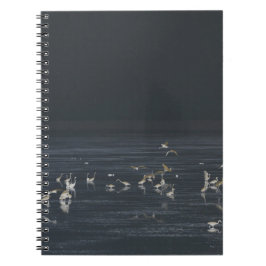 Silhuetter Av Egrettre På Den Mörkblå Oceanen Anteckningsbok