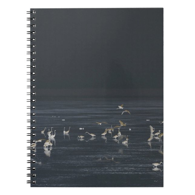 Silhuetter Av Egrettre På Den Mörkblå Oceanen Anteckningsbok (Framsidan)