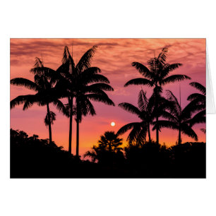 Silhuetterade palmer, Hawaii Hälsningskort