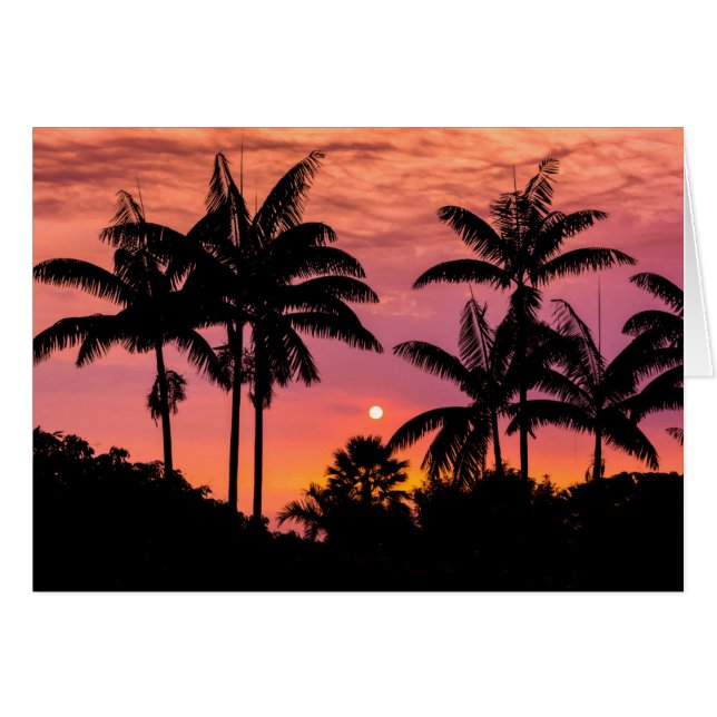Silhuetterade palmer, Hawaii Hälsningskort (Framsidan Horizontal)