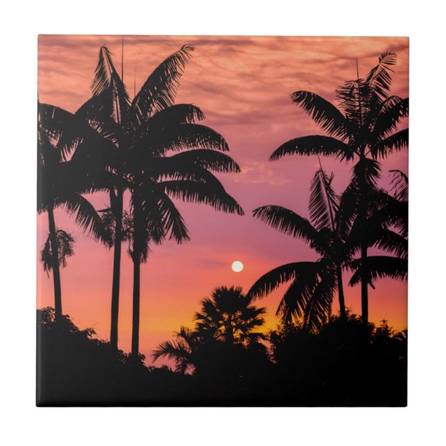 Silhuetterade palmer, Hawaii Kakelplatta (Framsidan)