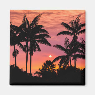 Silhuetterade palmer, Hawaii Magnet