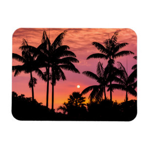 Silhuetterade palmer, Hawaii Magnet