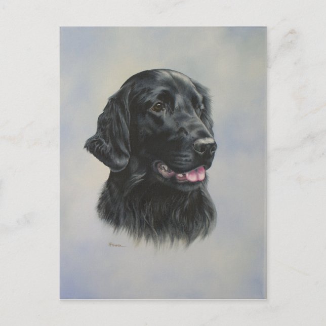 Silka Vykort (Framsida)