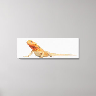SilkBacks scaleless skäggig drake - Pogona Canvastryck