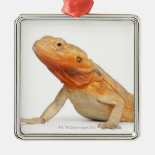 SilkBacks scaleless skäggig drake - Pogona Julgransprydnad Metall