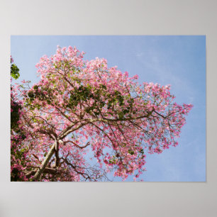 Silke Floss Träd Blommar Poster