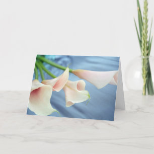 Silke Parad White Calla Lily Art Greeting Card Kort
