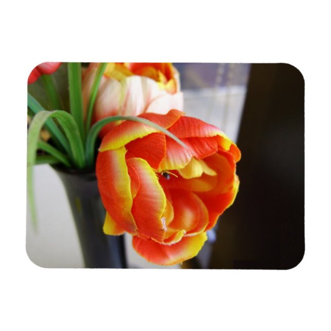Silke Tulip Magnet (Horisontell)