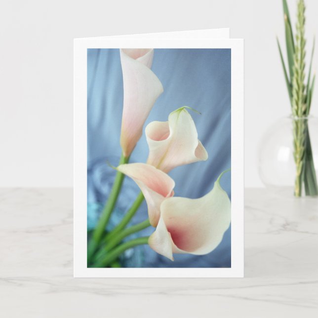 Silke White Calla Lily Greeting Cards Kort (Framsida)