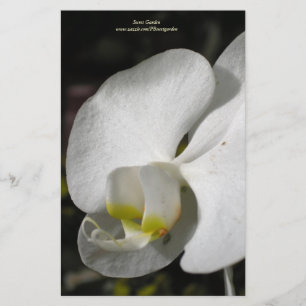 Silke White Orchid Personlig Staionery Brevpapper