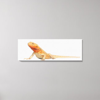 SilkeBackor skallös böjd drake - Pogona Canvastryck