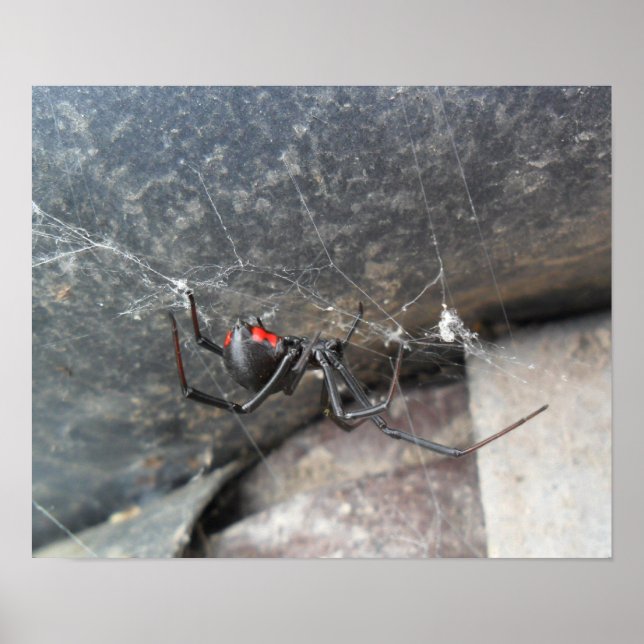 Silken Strands Poster (Framsidan)