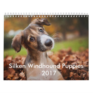 Silken valpkalender 2017 kalender