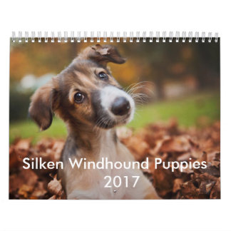 Silken valpkalender 2017 kalender