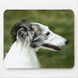 Silken Windhound A Musmatta