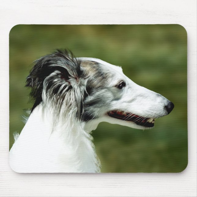 Silken Windhound A Musmatta (Framsidan)