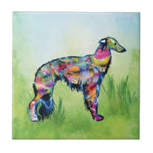 Silken Windhound - färgstark