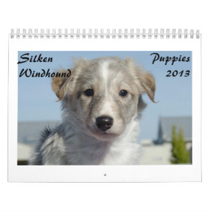 Silken Windhound valpar 2013 Kalender
