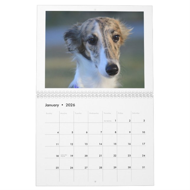 Silken Windhound valpar 2013 Kalender (Jan 2026)