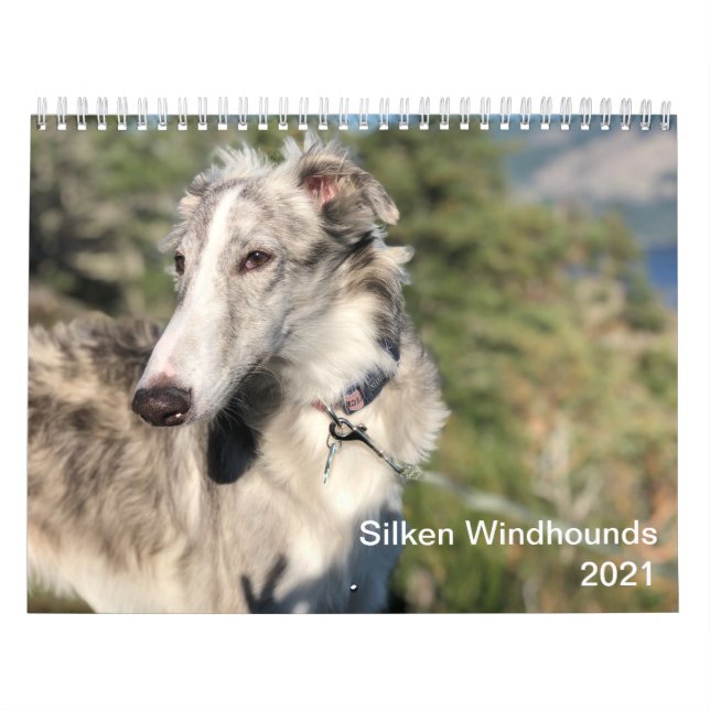 Silken Windhounds 2021 - Huvudstötar Kalender (Omslag)