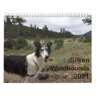 Silken Windhounds 2021 Vuxna 1 Kalender