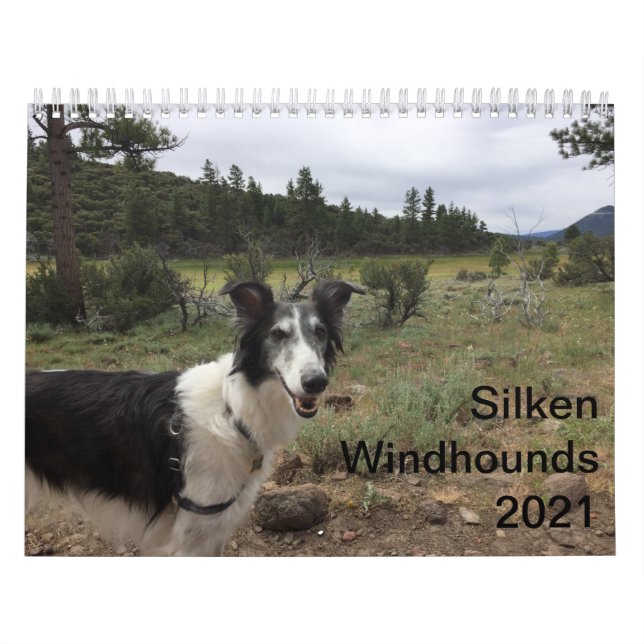 Silken Windhounds 2021 Vuxna 1 Kalender (Omslag)