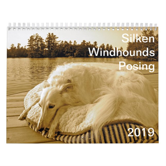 Silken Windhounds posera för 2019 Kalender (Omslag)