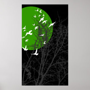 silkesfåglar poster