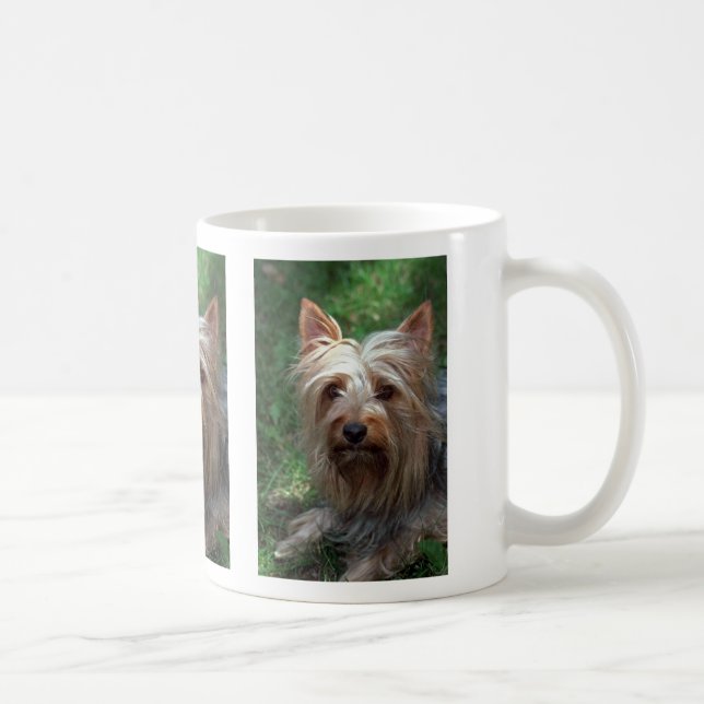 Silkeslen leksakTerrier Kaffemugg (Höger)