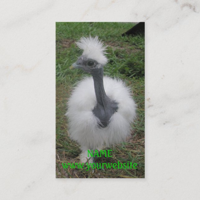 Silkeslen Turken flicka Visitkort (Framsida)