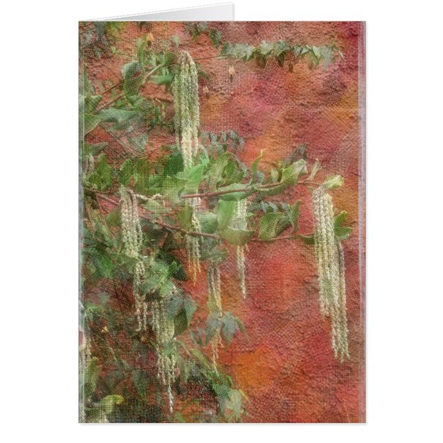 SilkeTasselträd - kort (Framsidan)