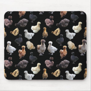 Silkie Bantam Chickens Musmatta