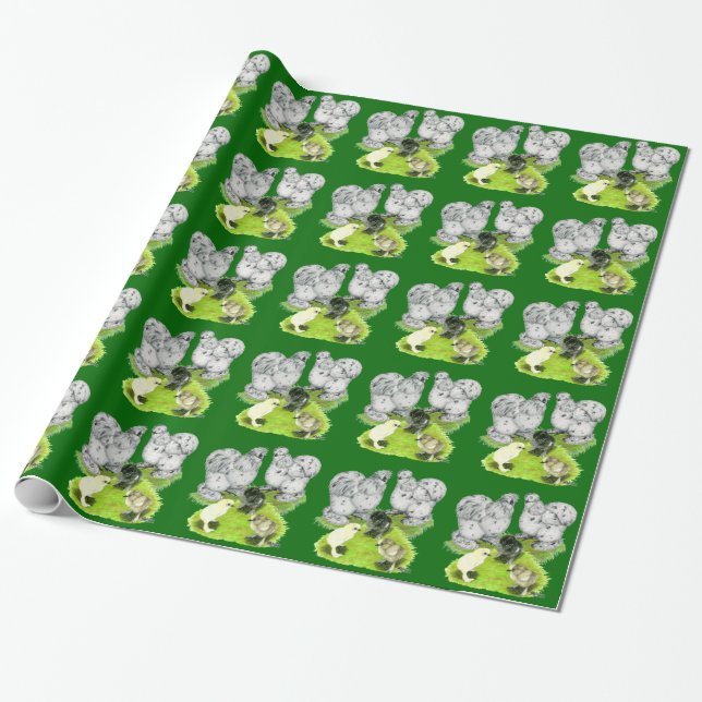 Silkie Bantam Splash Familj Presentpapper (Utrullad)