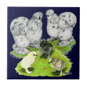 Silkie Bantam Stänk-familjen Kakelplatta