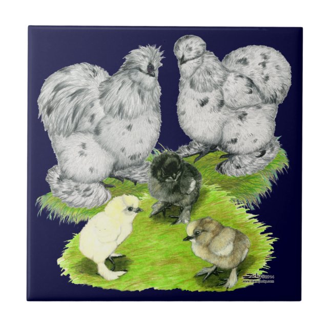 Silkie Bantam Stänk-familjen Kakelplatta (Framsidan)
