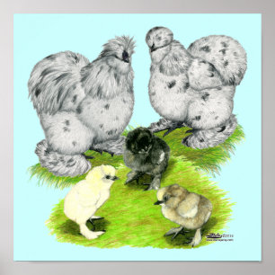 Silkie Bantam Stänk-familjen Poster