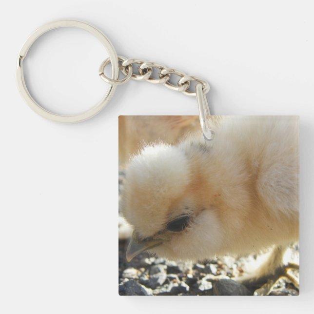 Silkie Chick Keychain (Framsidan)